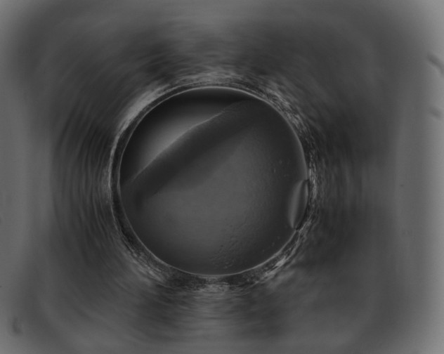 X0000093370196200710111442