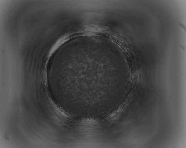 X0000093370198200710111442