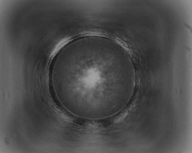 X0000093370199200710111442