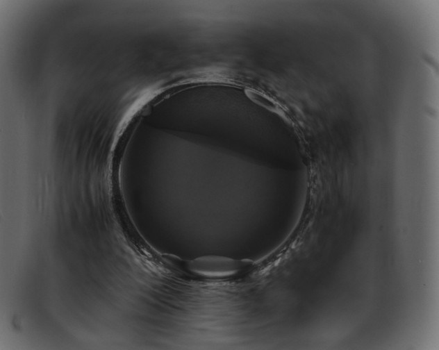 X0000093370200200710111442