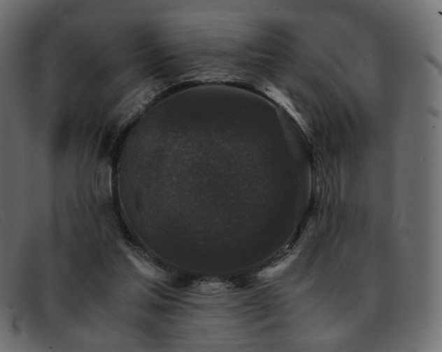 X0000093370205200710111442