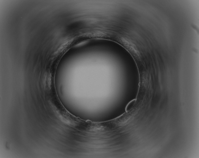 X0000093370206200710111442