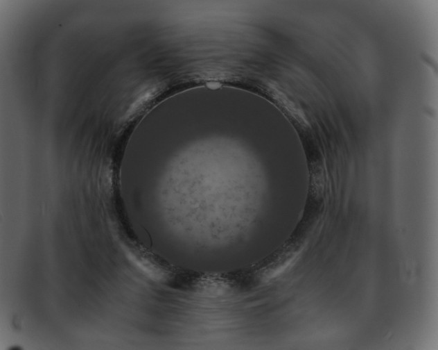 X0000093370207200710111442