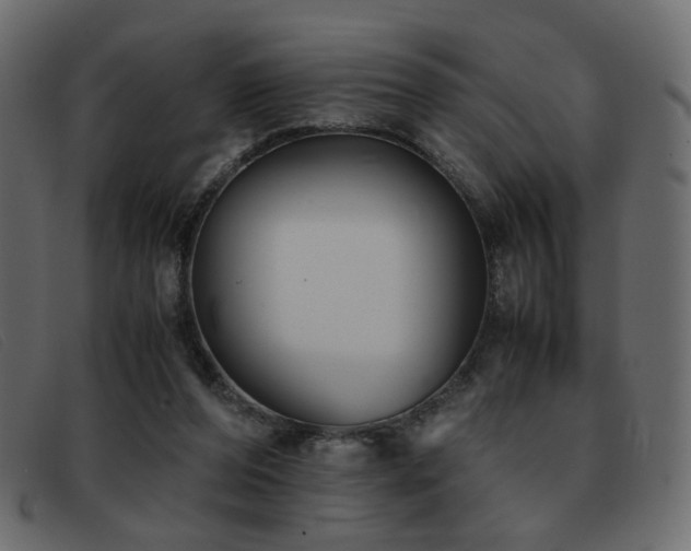 X0000093370208200710111442