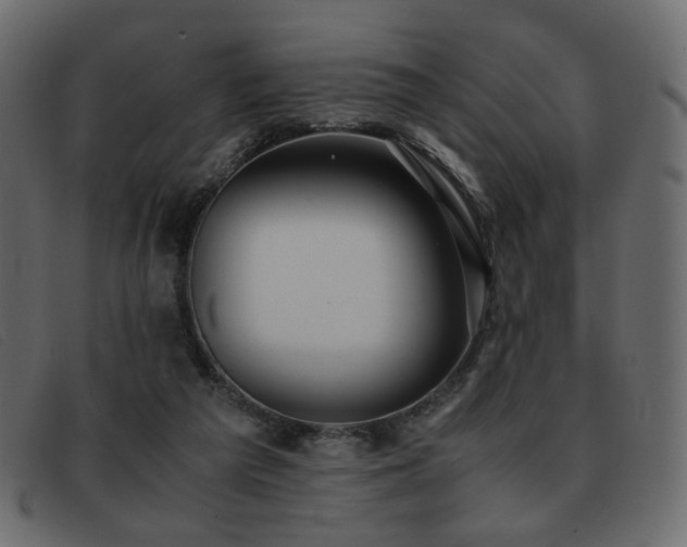 X0000093370209200710111442