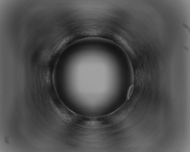 X0000093370212200710111442