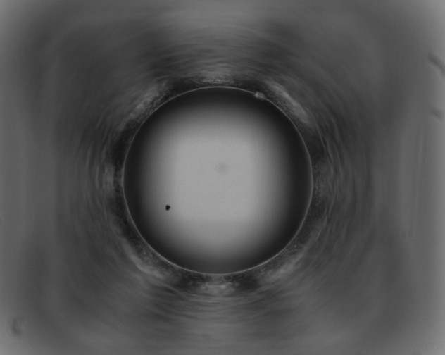 X0000093370213200710111442