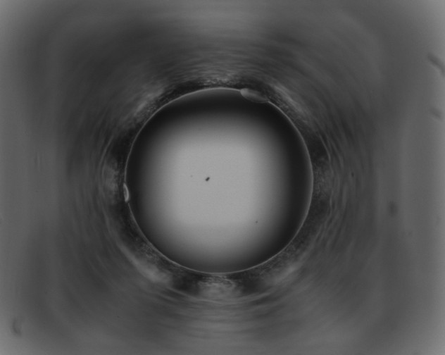 X0000093370215200710111442