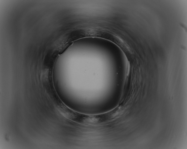 X0000093370217200710111442