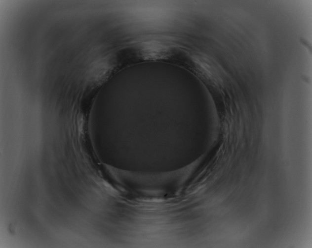 X0000093370219200710111442