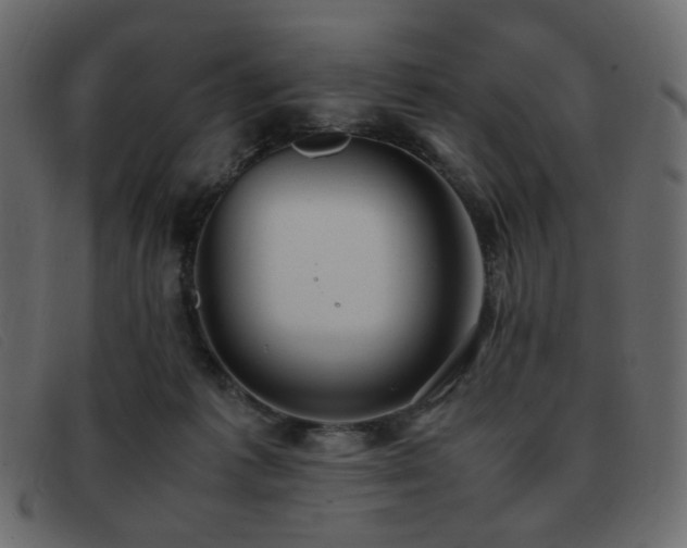 X0000093370221200710111442