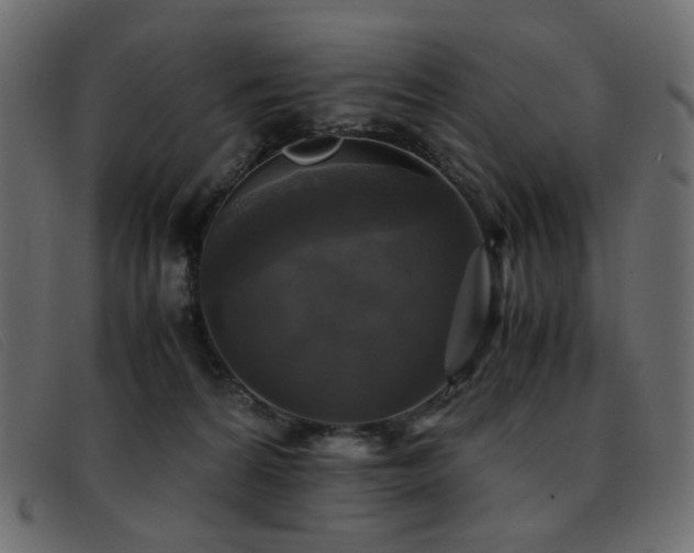 X0000093370224200710111442