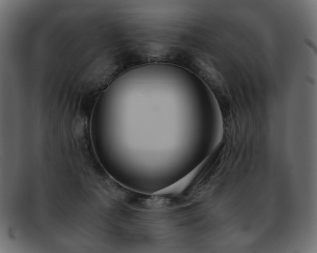 X0000093370225200710111442