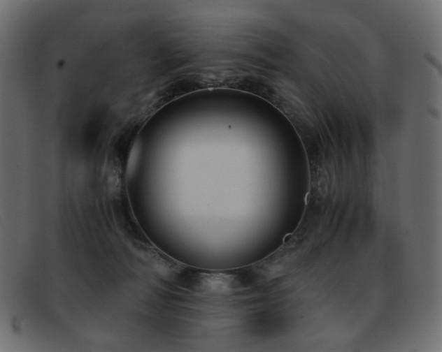 X0000093370226200710111442