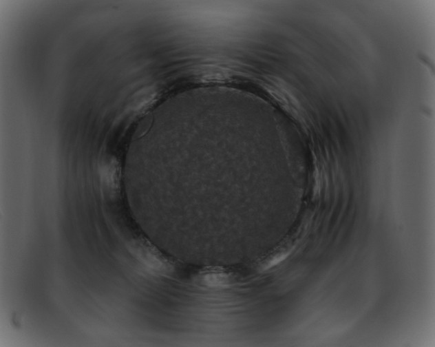 X0000093370228200710111442