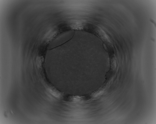 X0000093370229200710111442