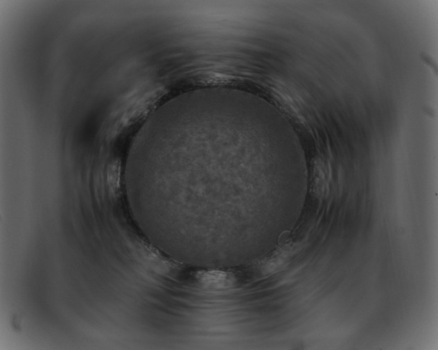 X0000093370230200710111442