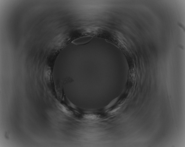 X0000093370231200710111442