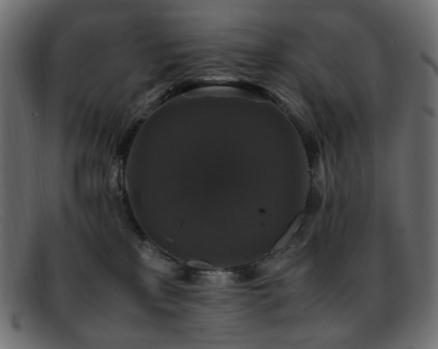 X0000093370233200710111442