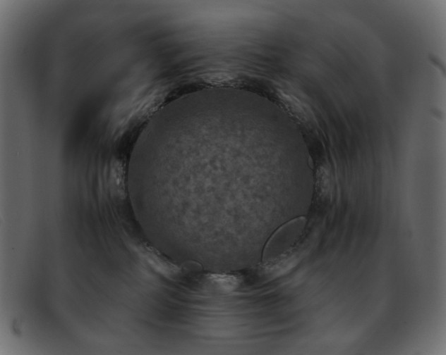 X0000093370234200710111442