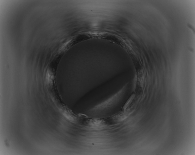 X0000093370235200710111442