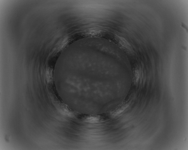 X0000093370236200710111442