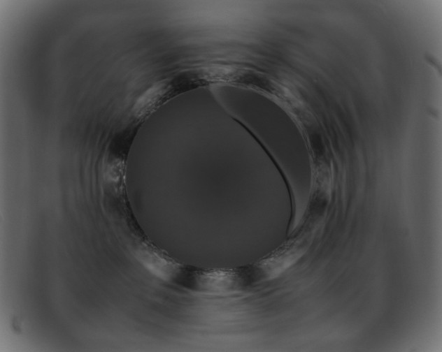 X0000093370237200710111442