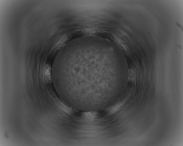 X0000093370238200710111442