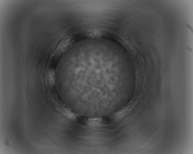 X0000093370240200710111442