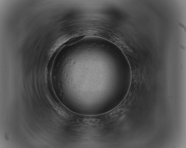 X0000093370242200710111441