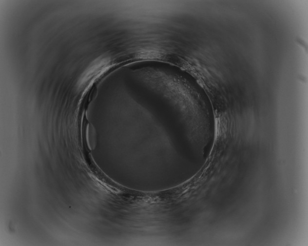X0000093370243200710111441