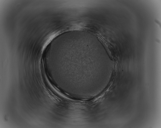 X0000093370244200710111441