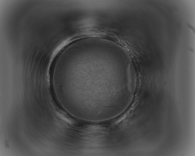 X0000093370246200710111441