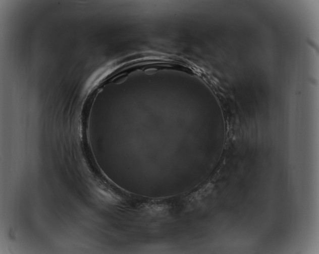 X0000093370247200710111441