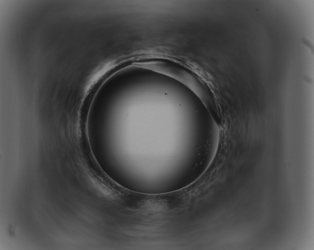 X0000093370248200710111441