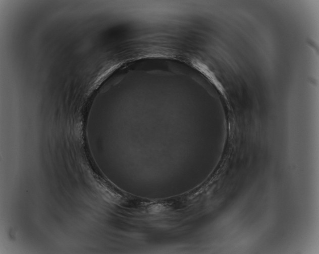 X0000093370249200710111441