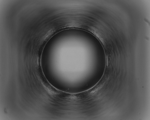 X0000093370253200710111442