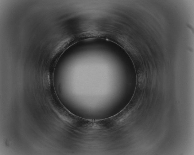 X0000093370254200710111442