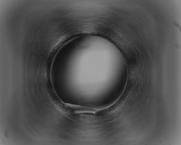 X0000093370256200710111442