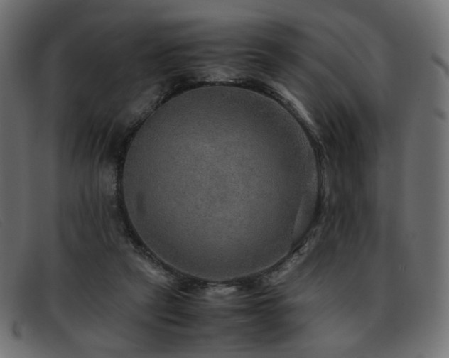 X0000093370257200710111442