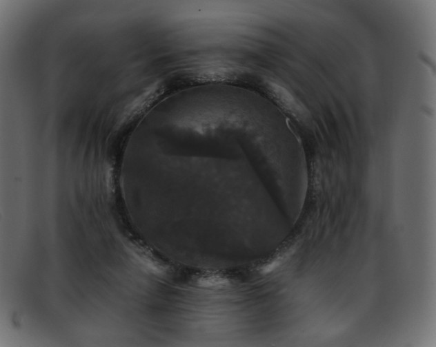 X0000093370258200710111442