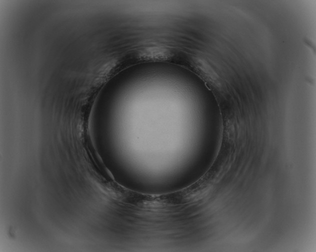 X0000093370259200710111442