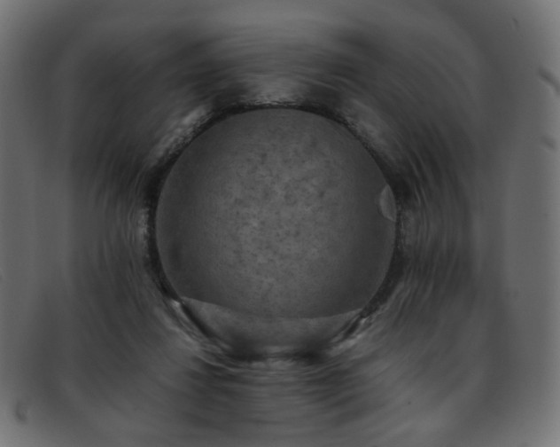 X0000093370260200710111442