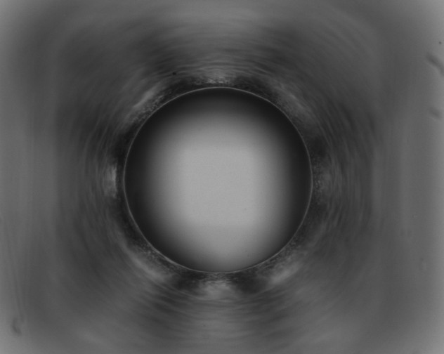 X0000093370262200710111442