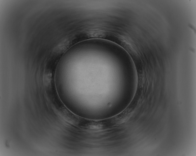 X0000093370263200710111442