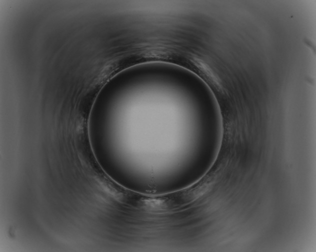 X0000093370265200710111442