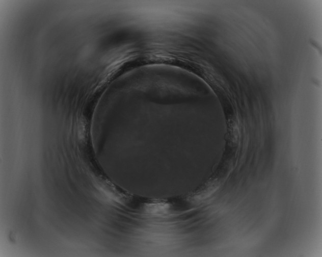 X0000093370266200710111442