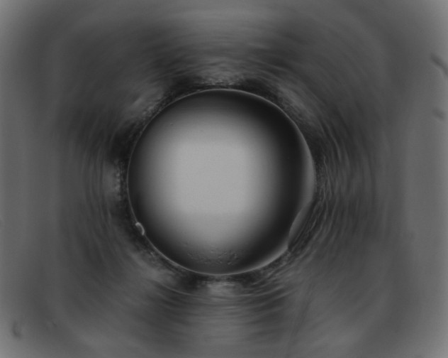 X0000093370268200710111442