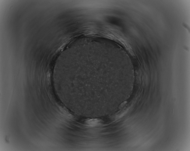 X0000093370269200710111442