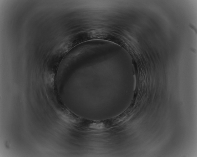 X0000093370271200710111442